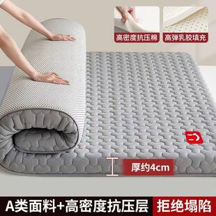 垫床软榻榻垫YQY宿舍学生双人米家用