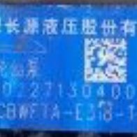 E318 T1FPL CBWFTA 合肥长源液压齿轮油泵