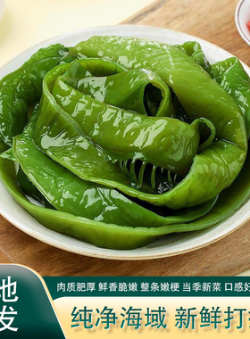 海白菜新鲜盐渍裙带菜梗段5斤商用半干货非即食海藻海带海芹菜