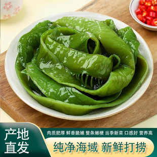 海白菜新鲜盐渍裙带菜梗段5斤商用半干货非即食海藻海带海芹菜