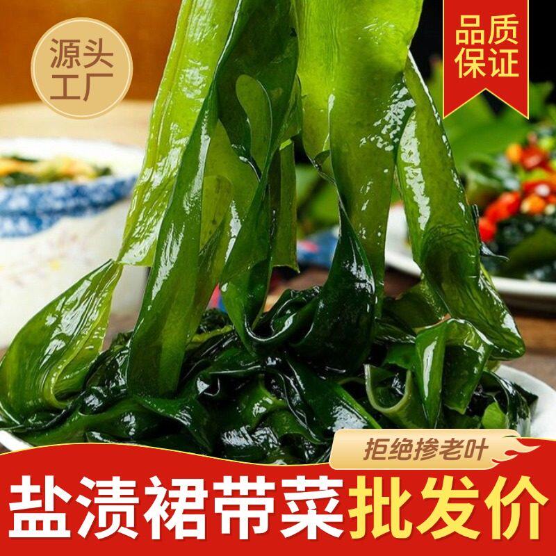 盐渍裙带菜新鲜大连特产海藻群带菜凉拌海草火锅商用非干货批发