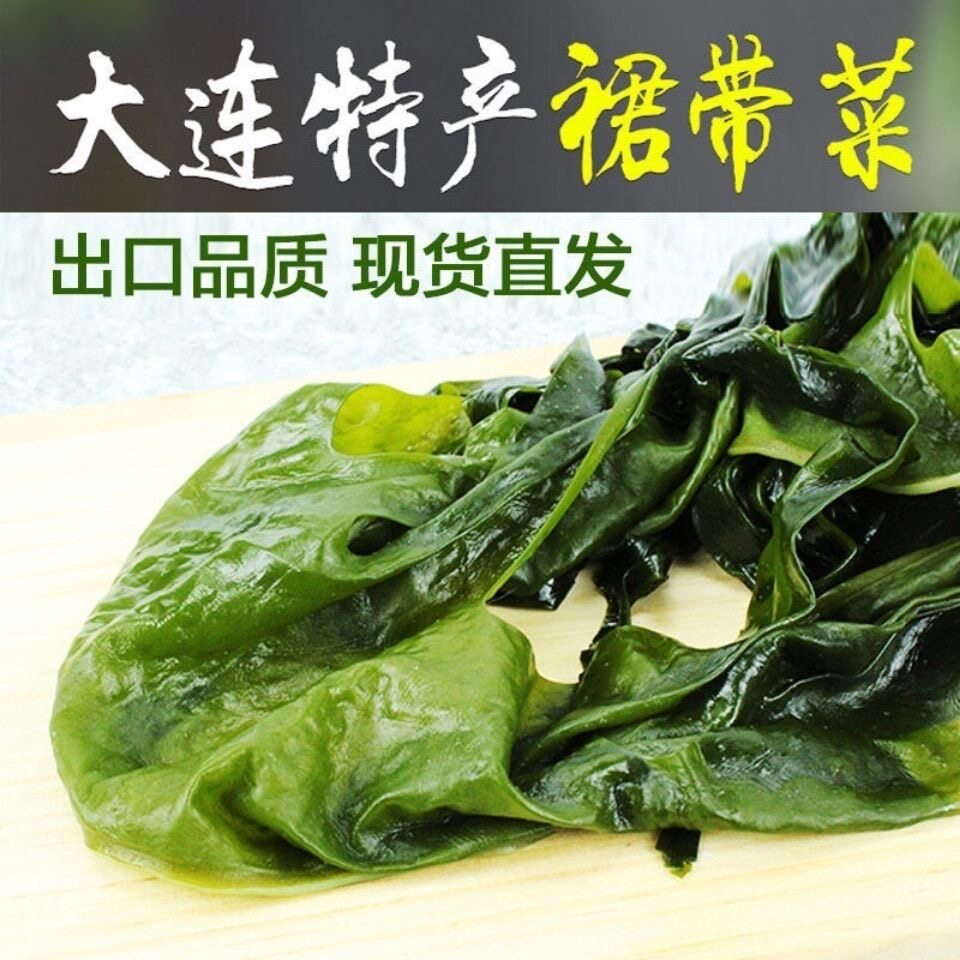 盐渍裙带菜新鲜大连特产海藻群带菜凉拌海草火锅商用非干货