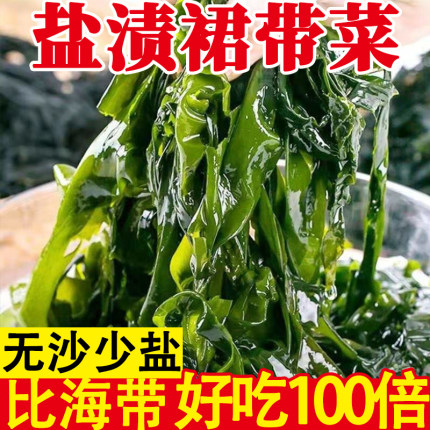 盐渍裙带菜新鲜大连特产海藻群带菜凉拌海草火锅商用非干货批发