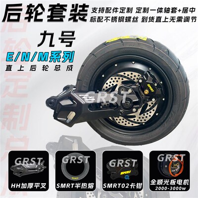 九号ENM系电摩后面一套后轮一套HH加厚幽灵一代平叉光Y板电机套装