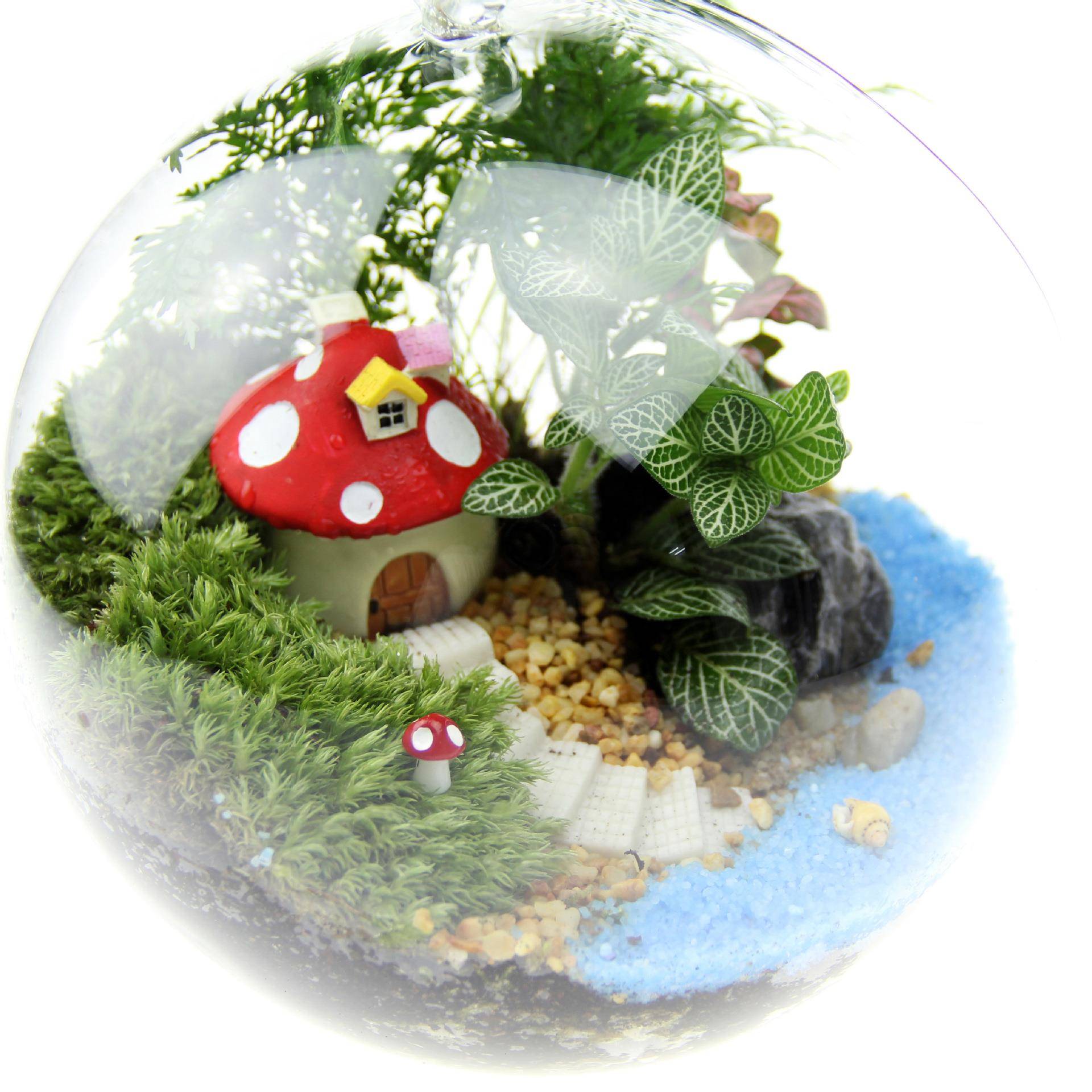 创意礼品礼吊物tz-20181苔藓微景套装造景瓶材料包观16平底瓶套装