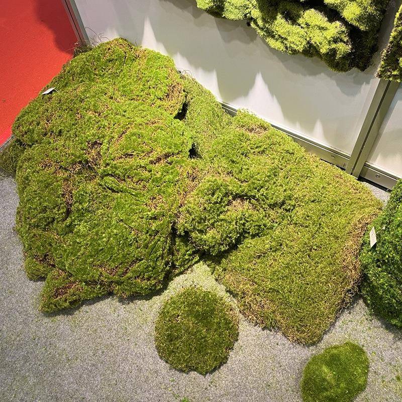 仿真头苔藓块植毛石造景装饰仿假青苔草皮草坪植绒摆软件854装道