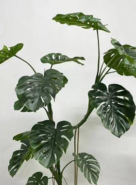 仿真叶巨型龟背热带雨风林格大片绿植龟背龟造景推荐款老桩120007