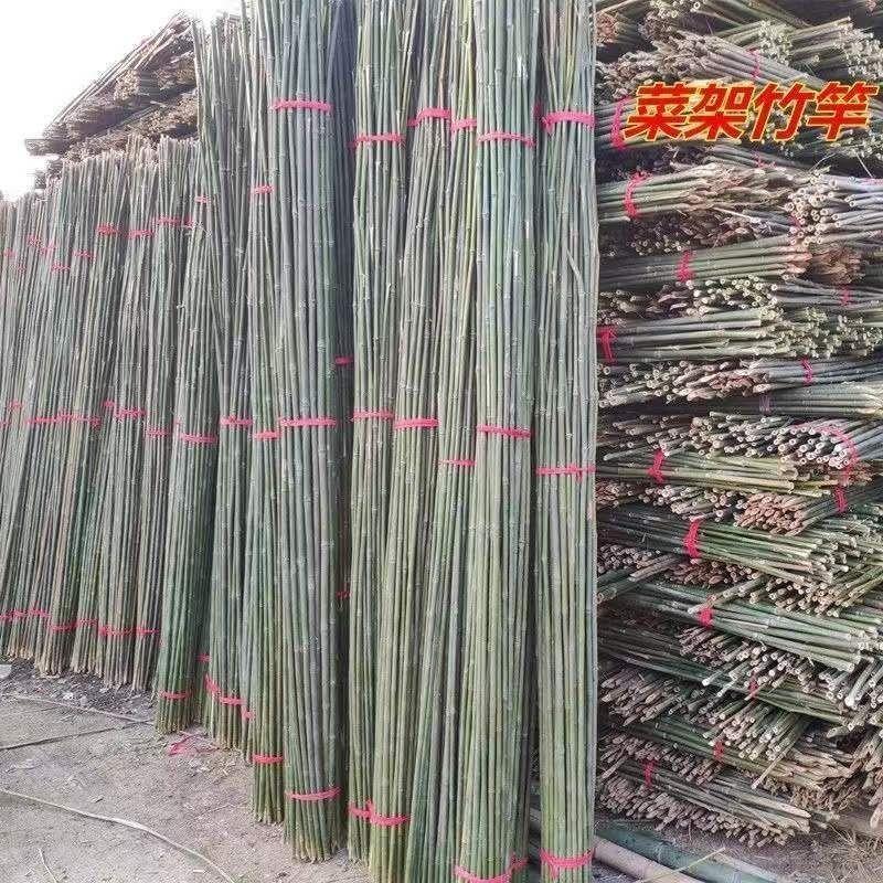 黄瓜爬藤菜架竹竿园搭子