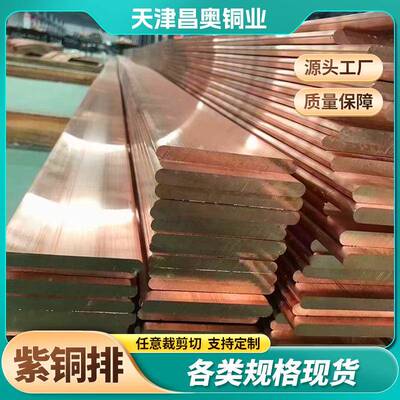 配电柜用TMY紫铜排导电铜线现格货价铜排镀母锡现NSA货10*100