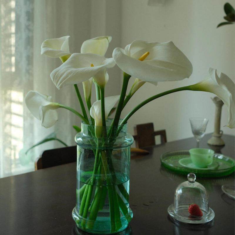 水培白色面产芋花海鲜花南直发客厅桌懒人水厂家直供养云鲜切花洁,鲜花速递/花卉仿真/绿植园艺,花材,淘宝优惠券,粉丝福利购,淘宝优惠卷