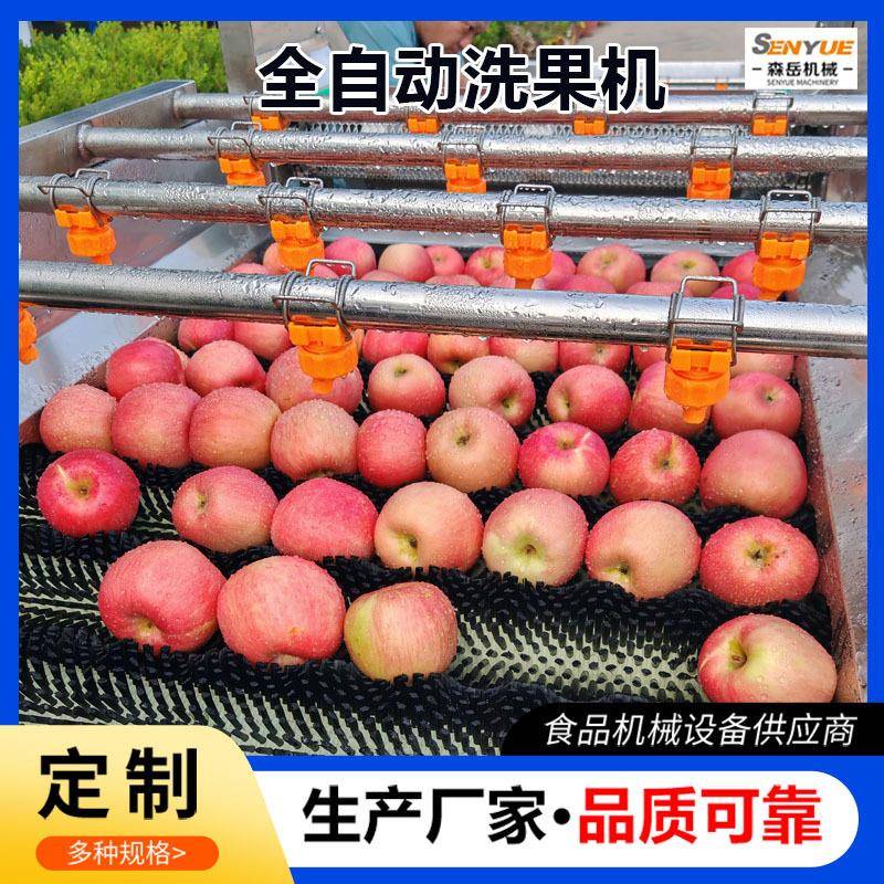 枇杷毛刷清洗风干一体机椰子毛辊清洗机青梅全自动洗果机选果机