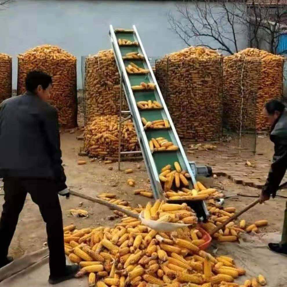 供应玉米上棒机上栈机上仓机上料机农用输送带传送带价格,机械设备,农业机械/园林设备/畜牧设备,淘宝优惠券,粉丝福利购,淘宝优惠卷