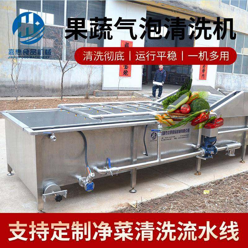 两段式气泡蔬菜清洗机红薯土豆气泡清洗线荔枝杨梅清洗设备