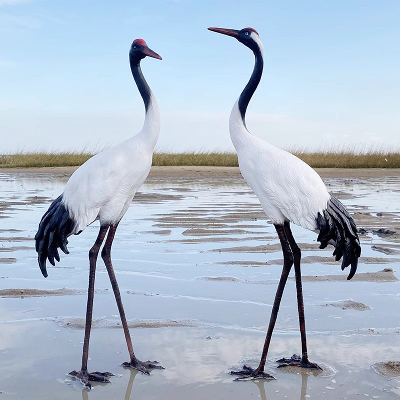 户外仿真仙鹤雕塑水池塘白鹭装饰花E园林鸟玻璃钢景观模型白鹤摆