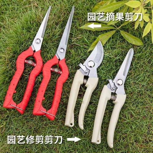 花艺剪刀剪家用果枝卉树修枝剪CTR花摘果树绿化嫁接园林园艺