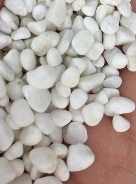 m卵404厂家花6-9m白色鹅石纯白鹅卵石雨白石子规格齐全