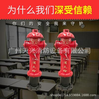 天兴牌S家10/65-1.6室外0消火栓DN100消防栓天兴地上栓SS100/65厂
