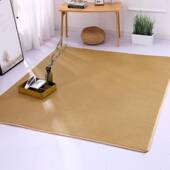 1藤厘米夏季 加厚榻折叠席室日式 榻米和ZNU垫凉席地毯垫