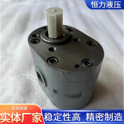 恒齿轮泵Y01-100×/25/50×25/12×力20YAE8×15润滑泵H液压泵