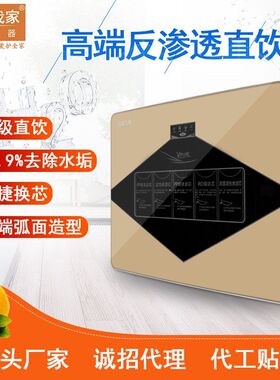 高配置家用厨房直饮机自来水过滤器ro反渗透净水机纯水机厂家
