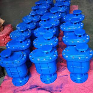 CAR排-10/16兰423复合式清水X自动进排气阀泉州质启复合式气阀DN