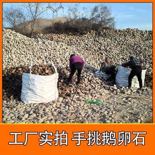 现鹅卵石货供应河林卵694石变站电园建筑装 饰造景专用水处理石头