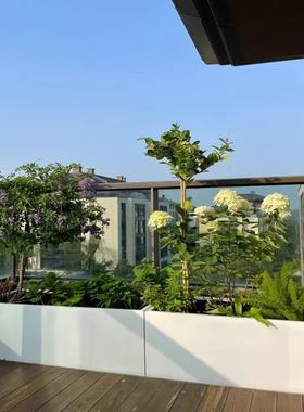 户外不锈钢铁艺花箱阳台种植箱商烤业街坛组AL101940花合铁长方形