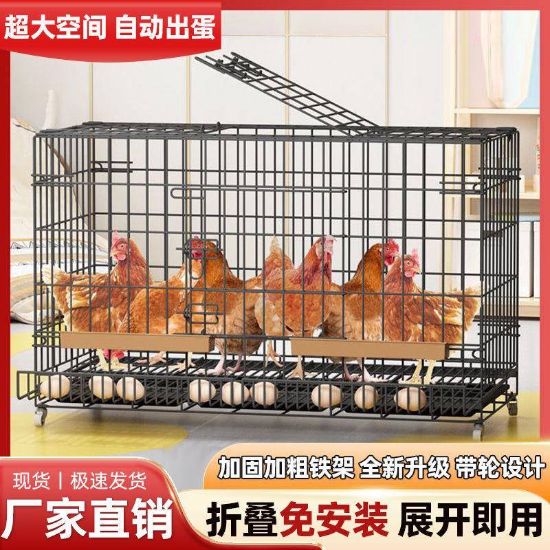 家用养殖折叠鸡笼滚加厚加密TFV蛋鸡自舍动特蛋大号鸡鸡窝工厂直