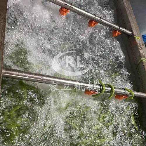气泡式贡菜清洗机鼓泡式蕨菜梅干菜清洗去杂机果蔬气泡清洗机
