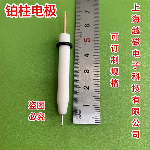 Pt015铂柱电极,nPt010铂柱电极  对电极 铂丝电极 铂柱电极