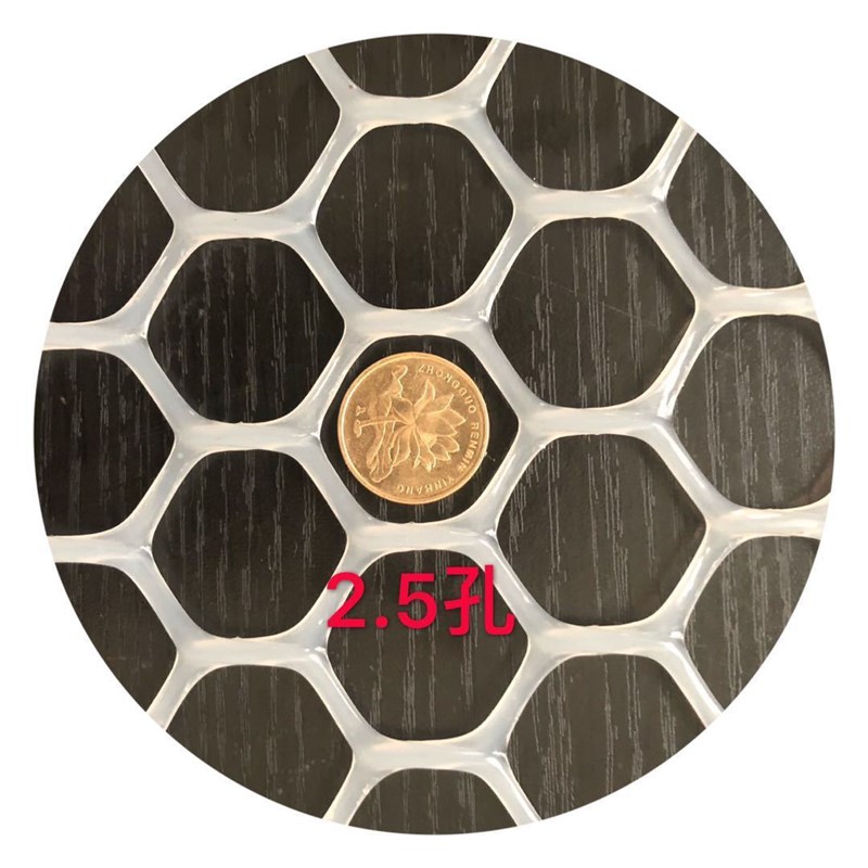 50米塑料平网养殖网养鸡养鸭育雏漏粪养N蜂网防护网胶网格脚垫