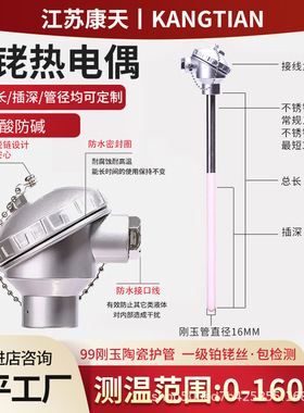 铂铑热电偶耐高温铂铑丝高温炉刚玉管热电偶WRP130/131温度传感器