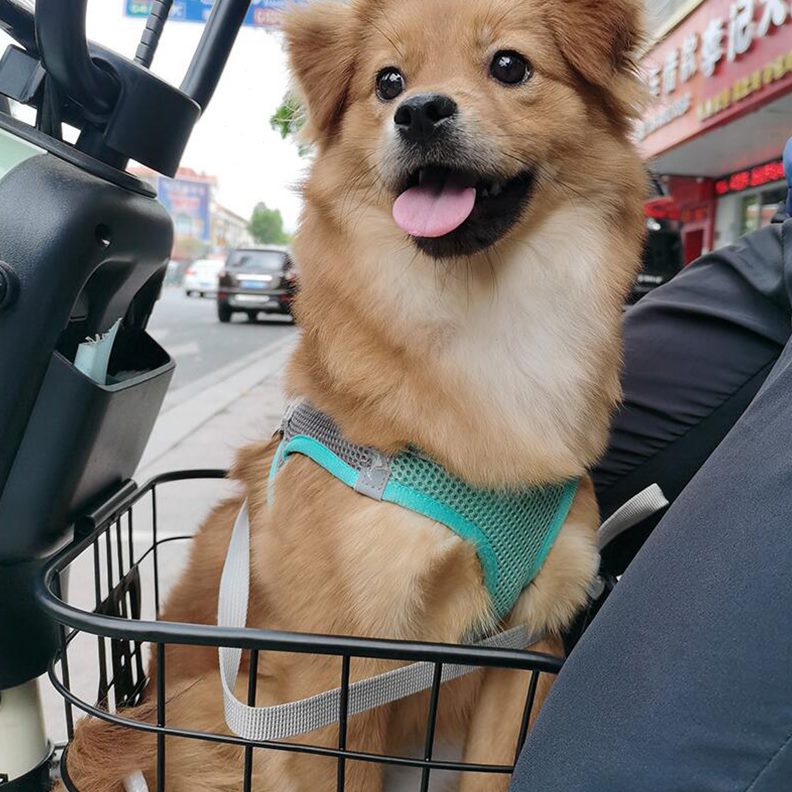 前置收纳筐储物脚踏板通用座电动车车筐狗狗创意宠物猫咪大容量篮