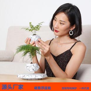 磁浮物盆景摆件空中植花悬盆盆栽家居饰品创意乔迁新居礼无品牌/