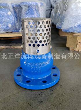 铸铁法兰标底H42X46阀吸水泵带逆止阀底阀德美标日标球底墨铸铁阀