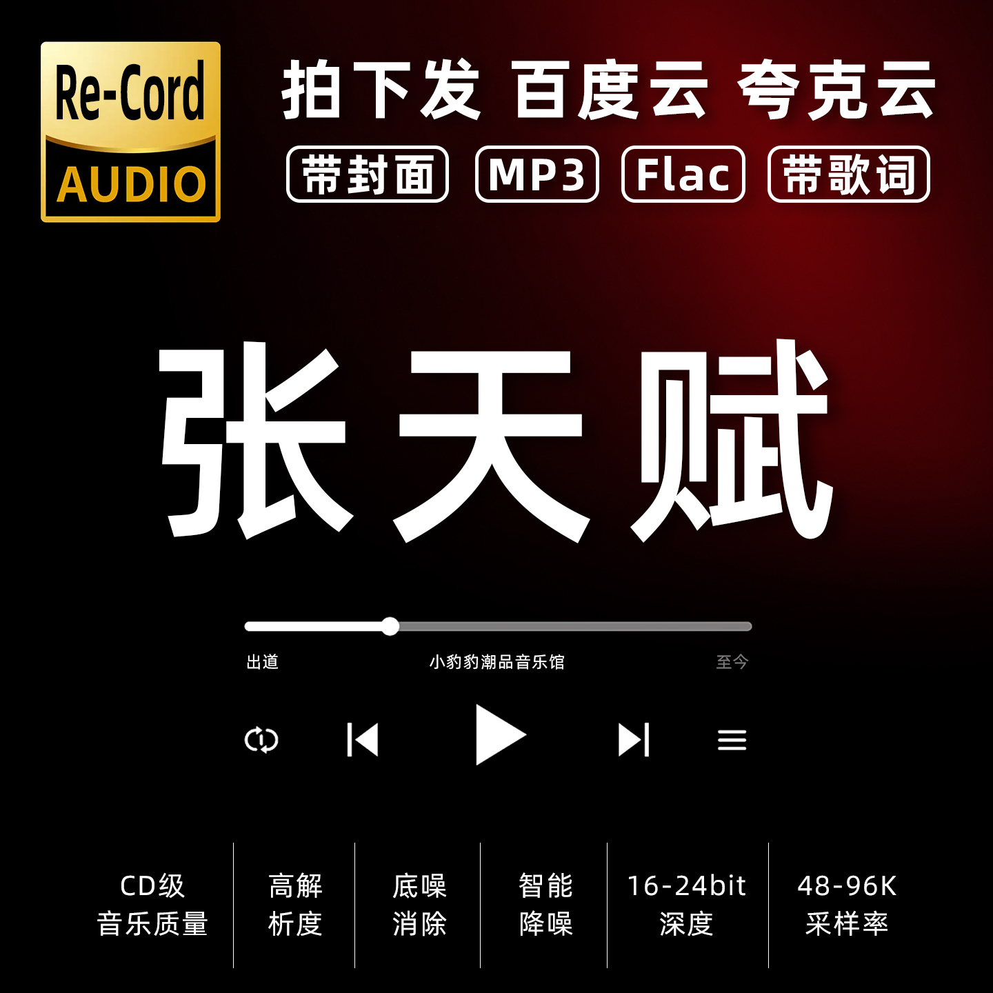 张天赋黑胶mp3全集无损音乐车载华语经典华语流行flac音乐分享