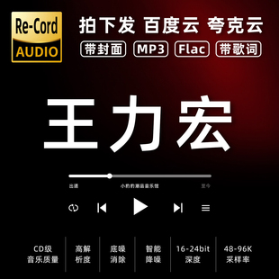 王力宏黑胶mp3全集无损音乐车载华语经典 华语流行flac音乐分享