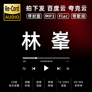 林峯黑胶mp3全集无损音乐车载华语经典 华语流行flac音乐分享