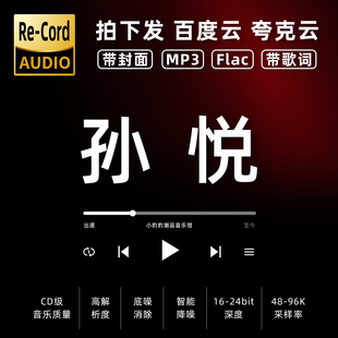 孙悦黑胶mp3全集无损音乐车载华语经典 华语流行flac音乐分享