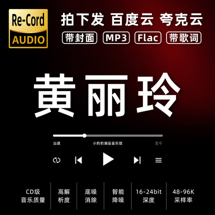 alin黑胶mp3全集无损音乐车载华语经典华语流行flac音乐分享