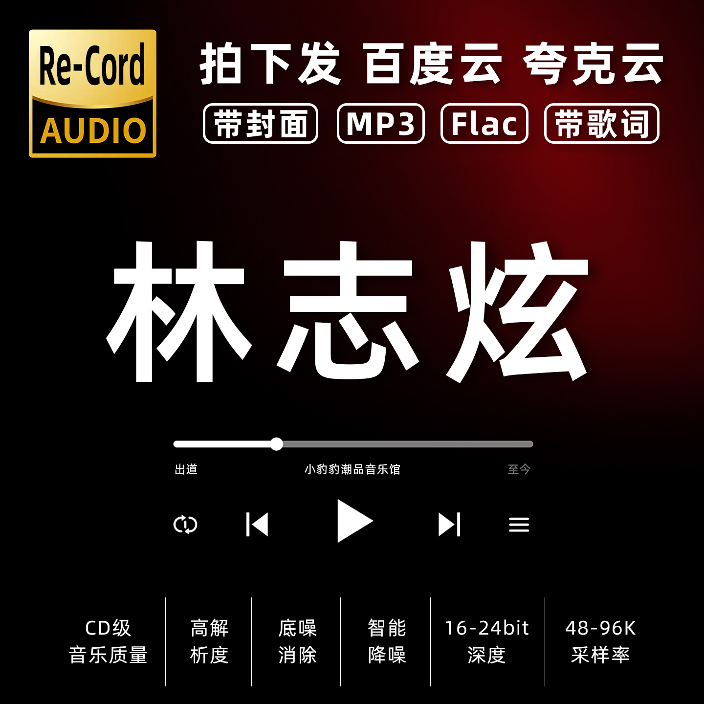 林志炫黑胶mp3全集无损音乐车载华语经典华语流行flac音乐分享