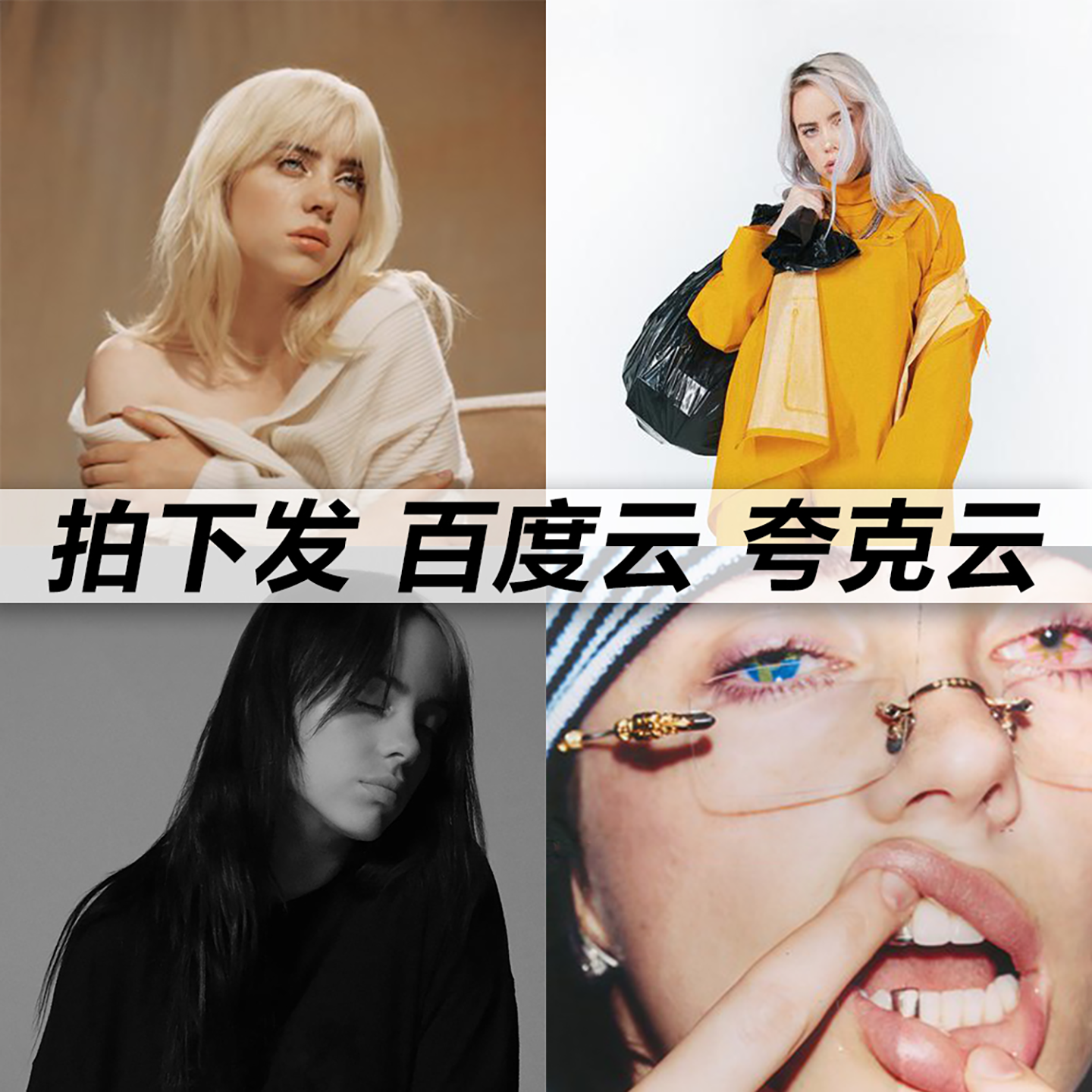 Billie Eilish黑胶mp3全集无损音乐车载华语经典流行flac音乐分享