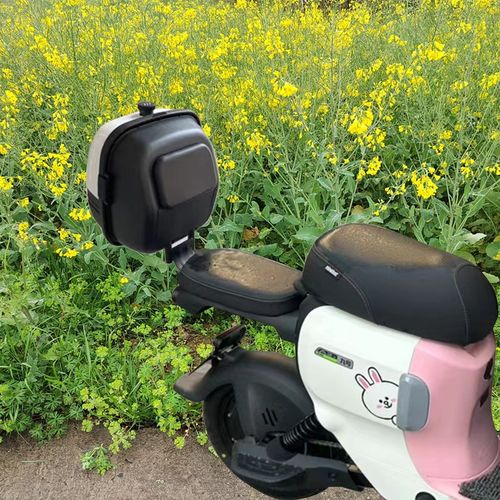 九号电动车A2z35CA2z40A2z90A35+A30C+A60A80A90后X备箱尾箱储物