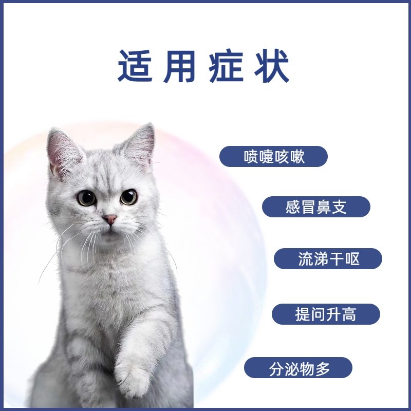 泛昔韦洛韦片猫鼻支打喷嚏流鼻涕猫咪疱疹杯状宠物专用乳铁蛋白
