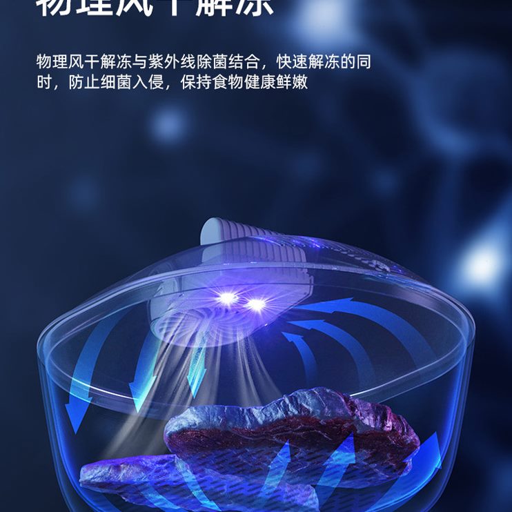 器厨房冰食类解冻化保鲜盒机冻牛排解冻除肉解冻冰器物解冻快速