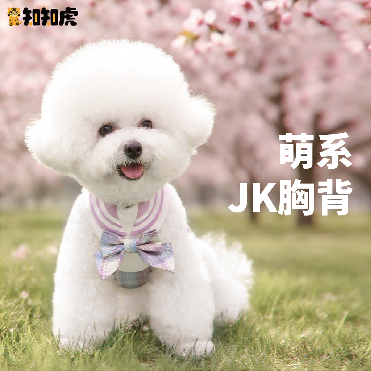 甜美JK风格宠物猫狗胸背背带牵引绳中小型犬外出遛狗牵引猫咪套装