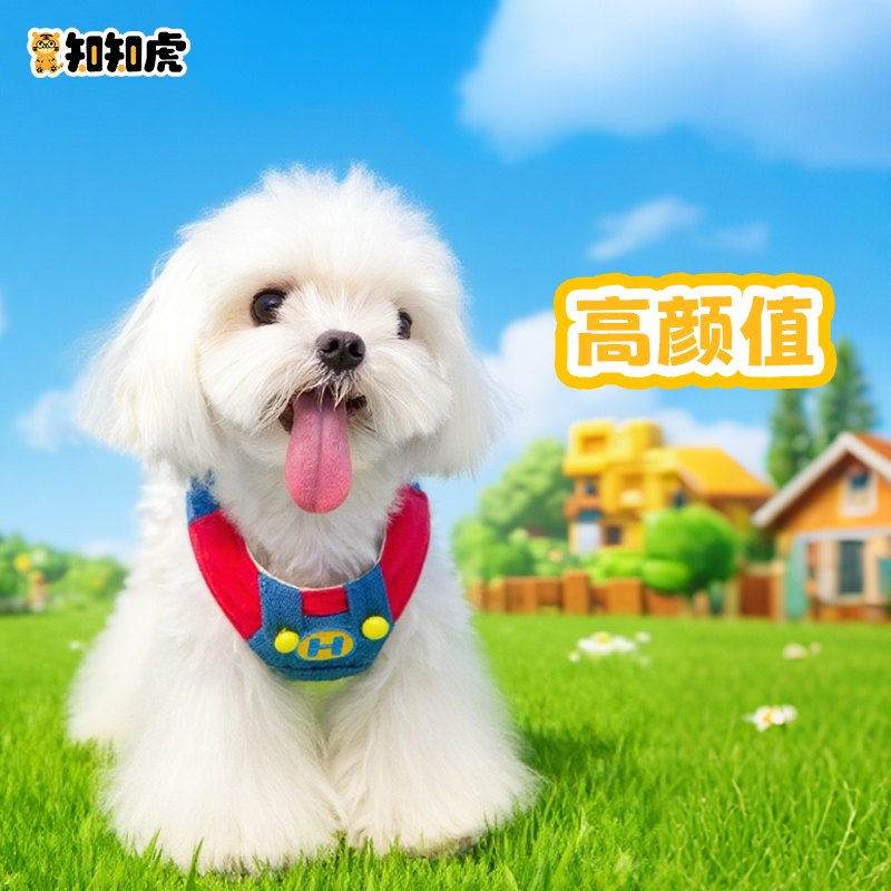 童年超级玛丽宠物猫狗胸背背带牵引绳中小型犬外出遛狗牵引绳套装