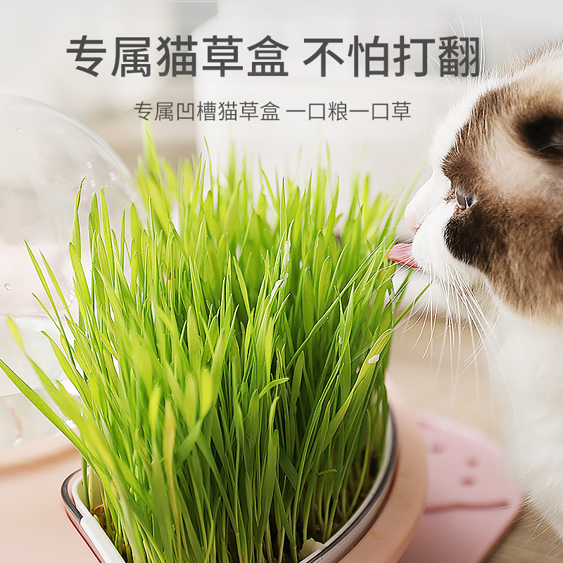 猫咪自动喂食器饮水机狗r狗食盆喝水饮水器二合一神器猫碗宠物用