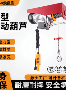 微型电动葫芦PA200PA300家用微型电动葫芦快速慢速小吊机微电葫芦