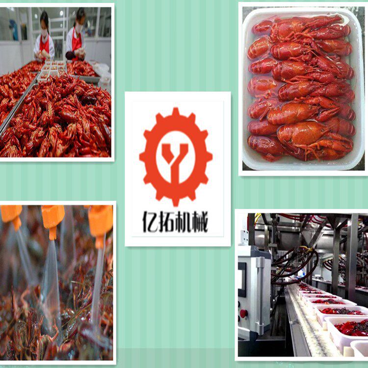 亿拓小龙虾加工厂需要什么设备龙虾油炸生产线龙虾生产线价格
